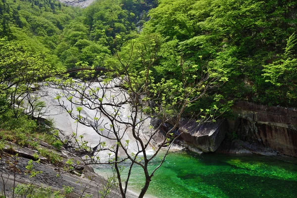 Noord-Korea. Diamond Mountains. Mt. Kumgang — Stockfoto