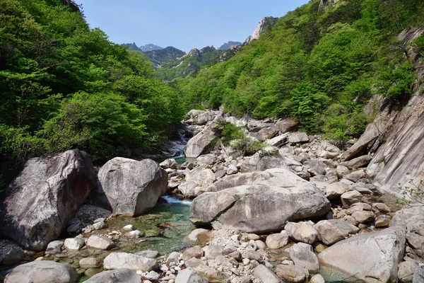 朝鲜。钻石山。库姆冈山 — 图库照片