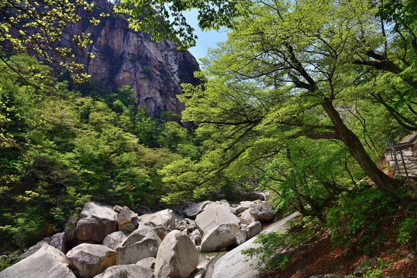 Noord-Korea. Diamond Mountains. Mt. Kumgang — Stockfoto