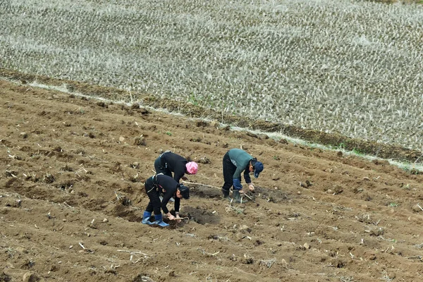 Noord-Korea. Platteland. Mensen — Stockfoto