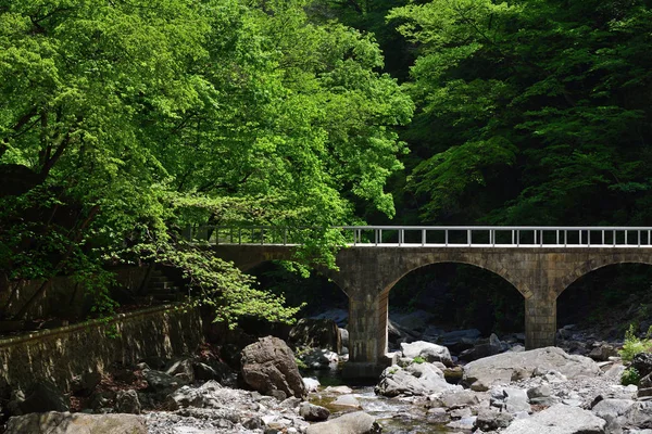 North Korean nature