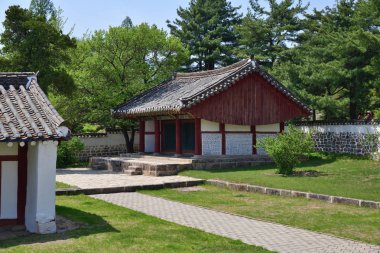 Kuzey Kore. Mustafa Seonoğlu