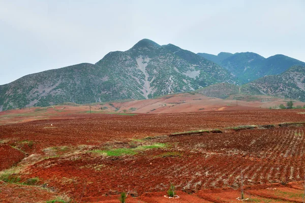 Coreia do Norte. Campo de aplicação — Fotografia de Stock