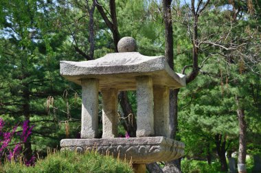 Kuzey Kore. Mustafa Seonoğlu