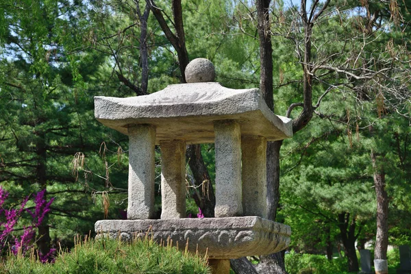 Kuzey Kore. Mustafa Seonoğlu