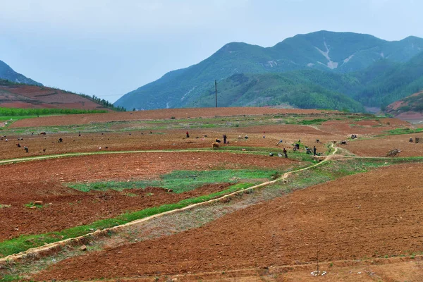 Corea del Norte. Zona rural. — Foto de Stock