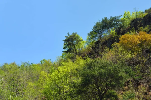 Nordkoreanische Natur — Stockfoto