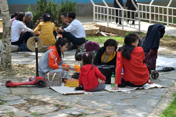 Πιονγκ Γιανγκ, Βόρεια Κορέα. Οικογένεια στο πικνίκ BBQ σε δημόσιο πάρκο — Φωτογραφία Αρχείου