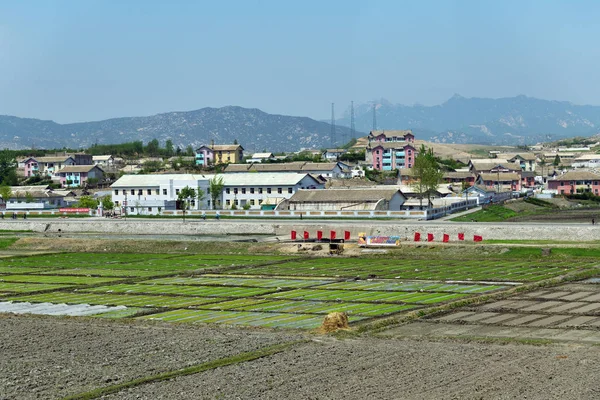 Coreia do Norte. Kaesong. — Fotografia de Stock