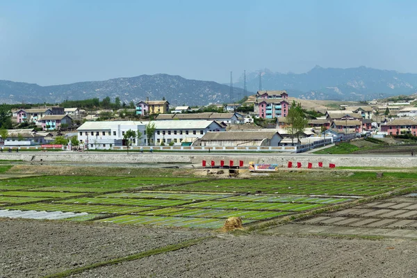 Nordkorea. Kaesong — Stockfoto