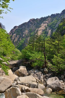 Kuzey Kore. Diamond Dağları. Mehmet