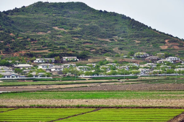 Kuzey Kore. Kırsal — Stok fotoğraf