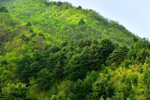 North Korea scenery — Stock Photo, Image