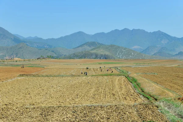 Coreia do Norte paisagem rural — Fotografia de Stock