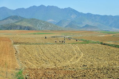 Kuzey Kore kırsal manzara