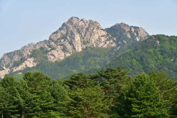 North Korean nature