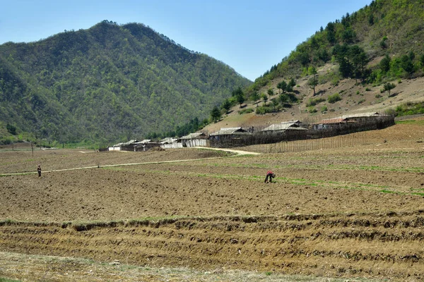 朝鲜乡村景观 — 图库照片