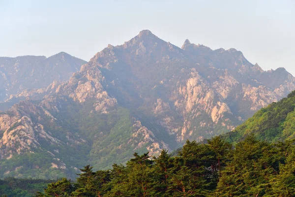 North Korean nature