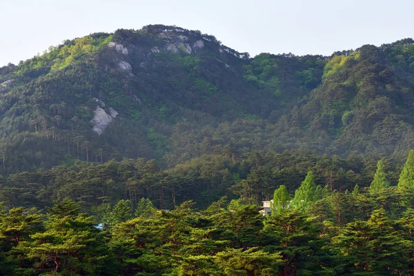 North Korean nature — Stock Photo, Image