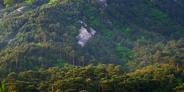 Nordkoreansk natur — Stockfoto