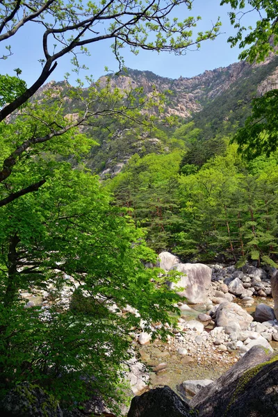 Nordkorea. Diamantenberge. mt. Kumgang — Stockfoto