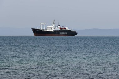  Profesör Khlyustin gemisi. Vladivostok, Rusya Federasyonu 