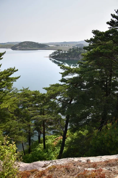 Severní Korejská krajina. Červený korejský borový les. Samilpo jezero — Stock fotografie