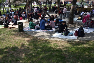 Pyongyang, Kuzey Kore. Umumi parkta Barbekü piknik aile