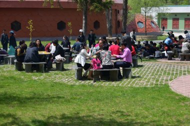 Pyongyang, Kuzey Kore. Halk parkında barbekü pikniyetkinliğinde aileler