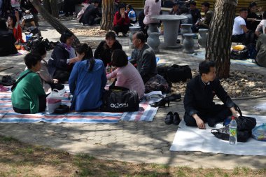 Pyongyang, Kuzey Kore. Umumi parkta Barbekü piknik aile