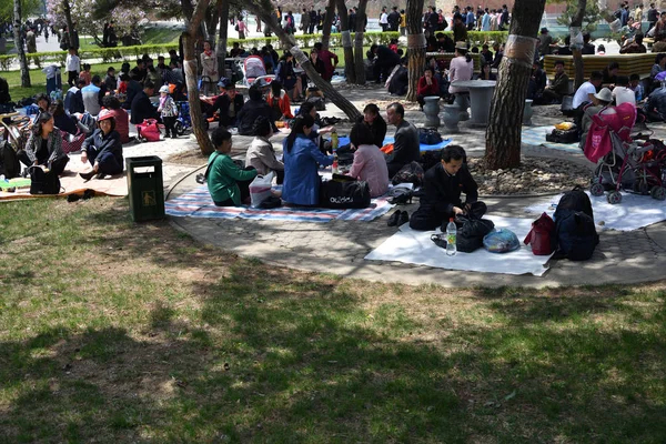 Pyongyang, Kuzey Kore. Umumi parkta Barbekü piknik aile