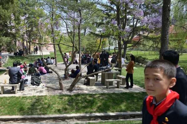 Pyongyang, North Korea. Local people at bbq picnic in public par — Stock Photo, Image