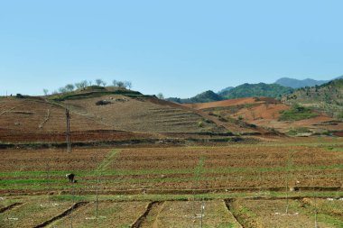 Kuzey Kore kırsal manzara