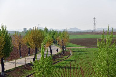 Kuzey Kore kırsal manzara