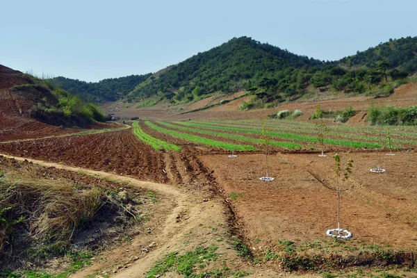 Noord-Korea platteland landschap — Stockfoto