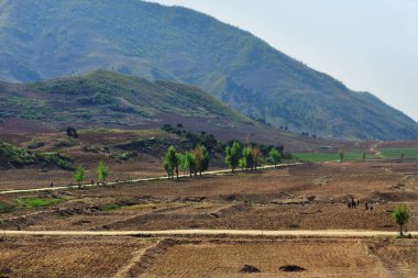 Kuzey Kore kırsal manzara