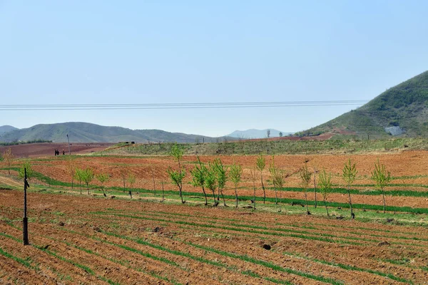 North Korea countryside landscape — Stock Photo, Image