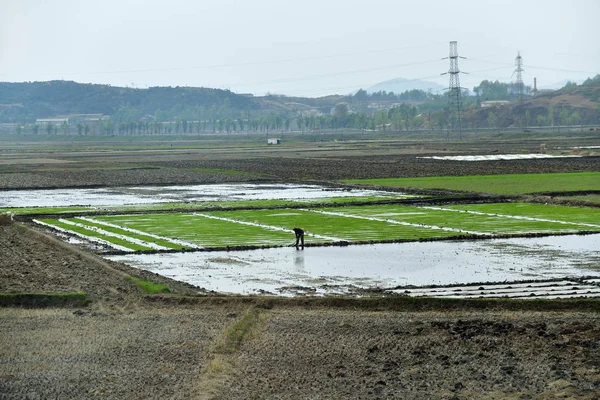 Kuzey Kore. Kırsal