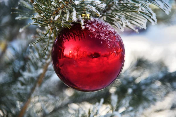 Την ώρα των Χριστουγέννων. Διακόσμηση στο χριστουγεννιάτικο δέντρο — Φωτογραφία Αρχείου