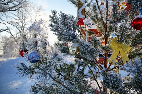 Weihnachtsmorgen. Christbaum auf Hof — Stockfoto