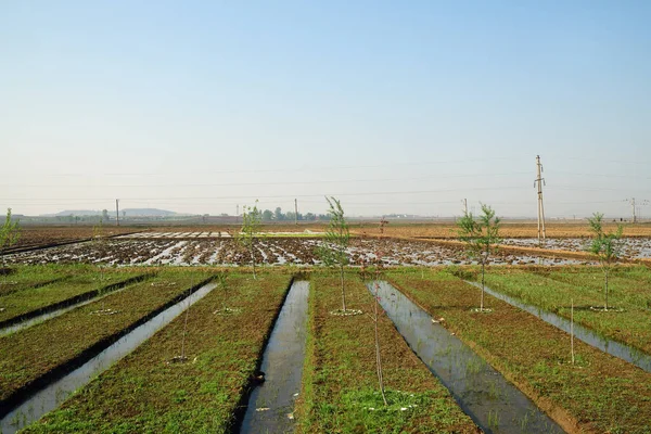 Сельский пейзаж КНДР — стоковое фото