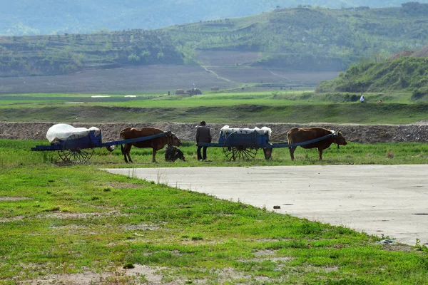 北朝鮮、田舎 — ストック写真