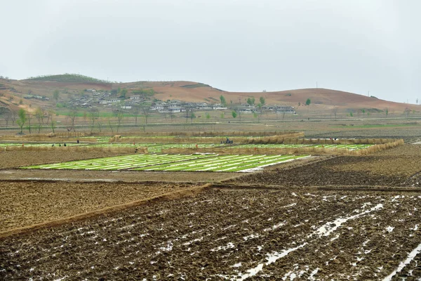 Noord-Korea platteland landschap — Stockfoto