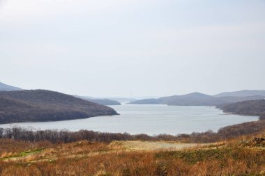 Russky Adası, Rusya'nın uzak doğusunda. Vladivostok. Novik Körfezi