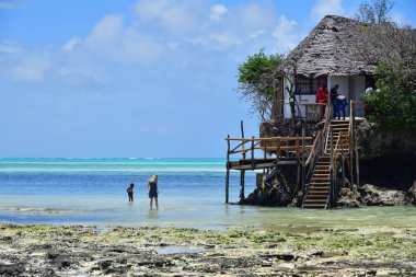Rock 'ın ünlü mekanı Pingwe, Zanzibar, T