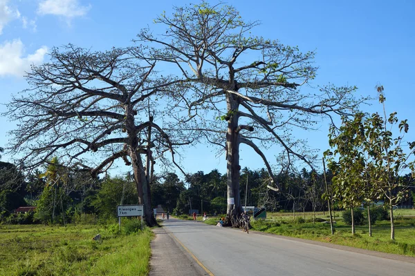 African road, Zanzibar, Tanzania, Africa — Stock Photo, Image