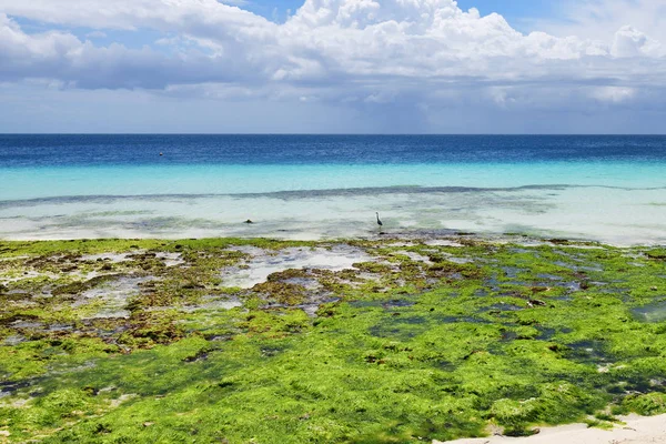 Kendwa Ocean shore, Zanzibar cenário, Tanzânia, África — Fotografia de Stock