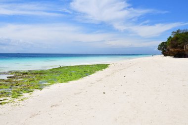 Kendwa Okyanus Kıyısı, Zanzibar Manzarası, Tanzanya, Afrika