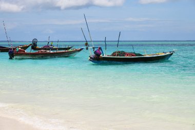 Balıkçı tekneleri. Zanzibar, Tanzanya, Afrika