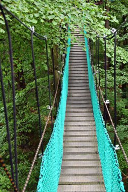 Yoğun ormandaki ip yolu. Asma köprü yeşil ormandan geçiyor. Ormanın alçak kesimlerinde asılı kalan yürüyüş köprüsü, ağaç gövdelerinin tepelerinden geçiyor.